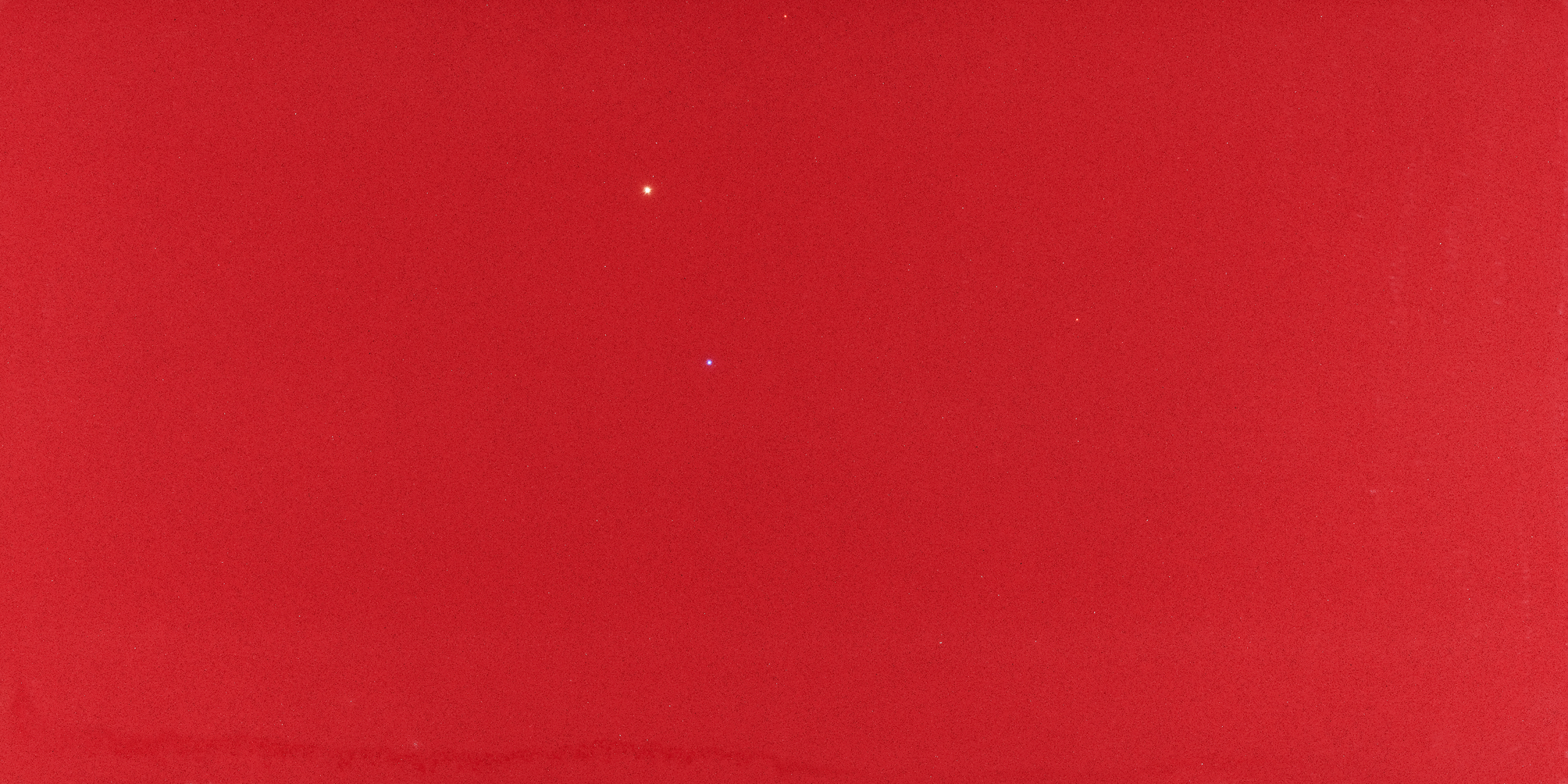 TCE 1538 Electric Red overview