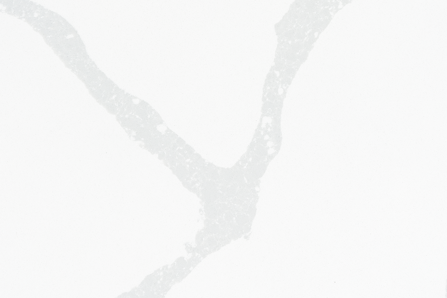TCE 2038 Classic Calacatta