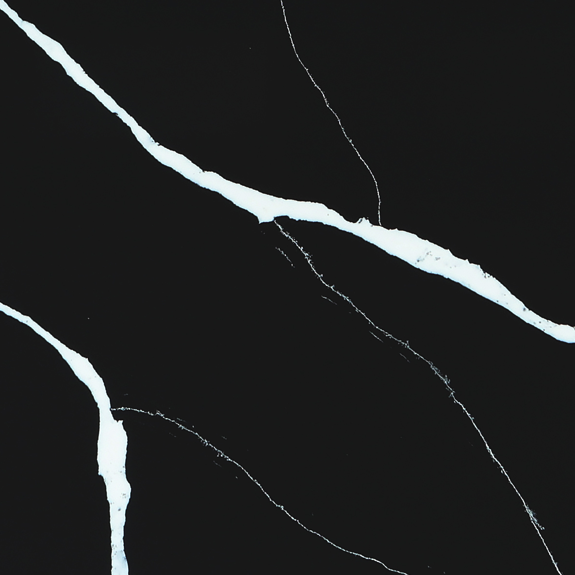 TCE 2046 Marquina