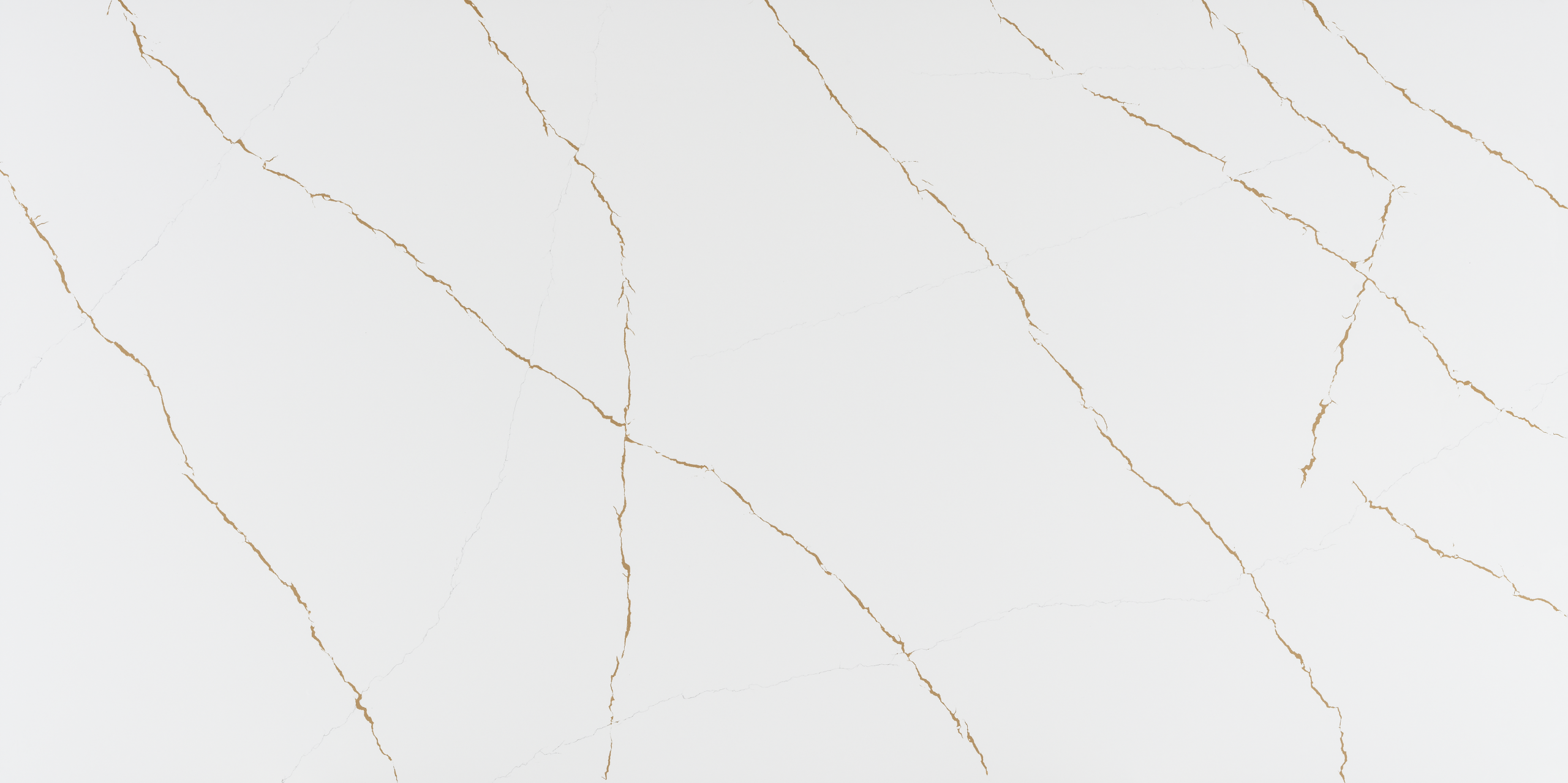 TCE 2049 Calacatta Dorato