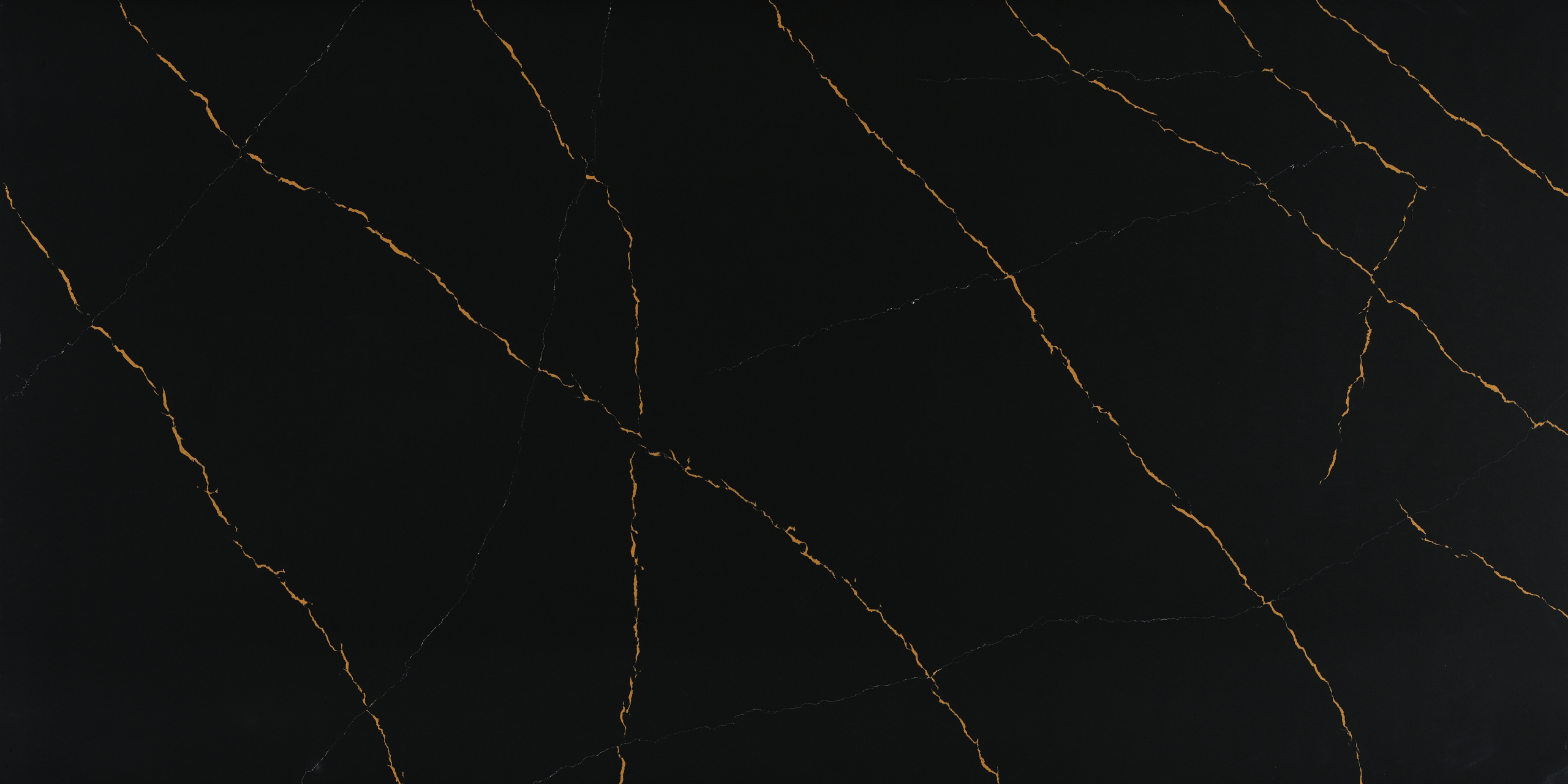 TCE 2050 Nero Dorato