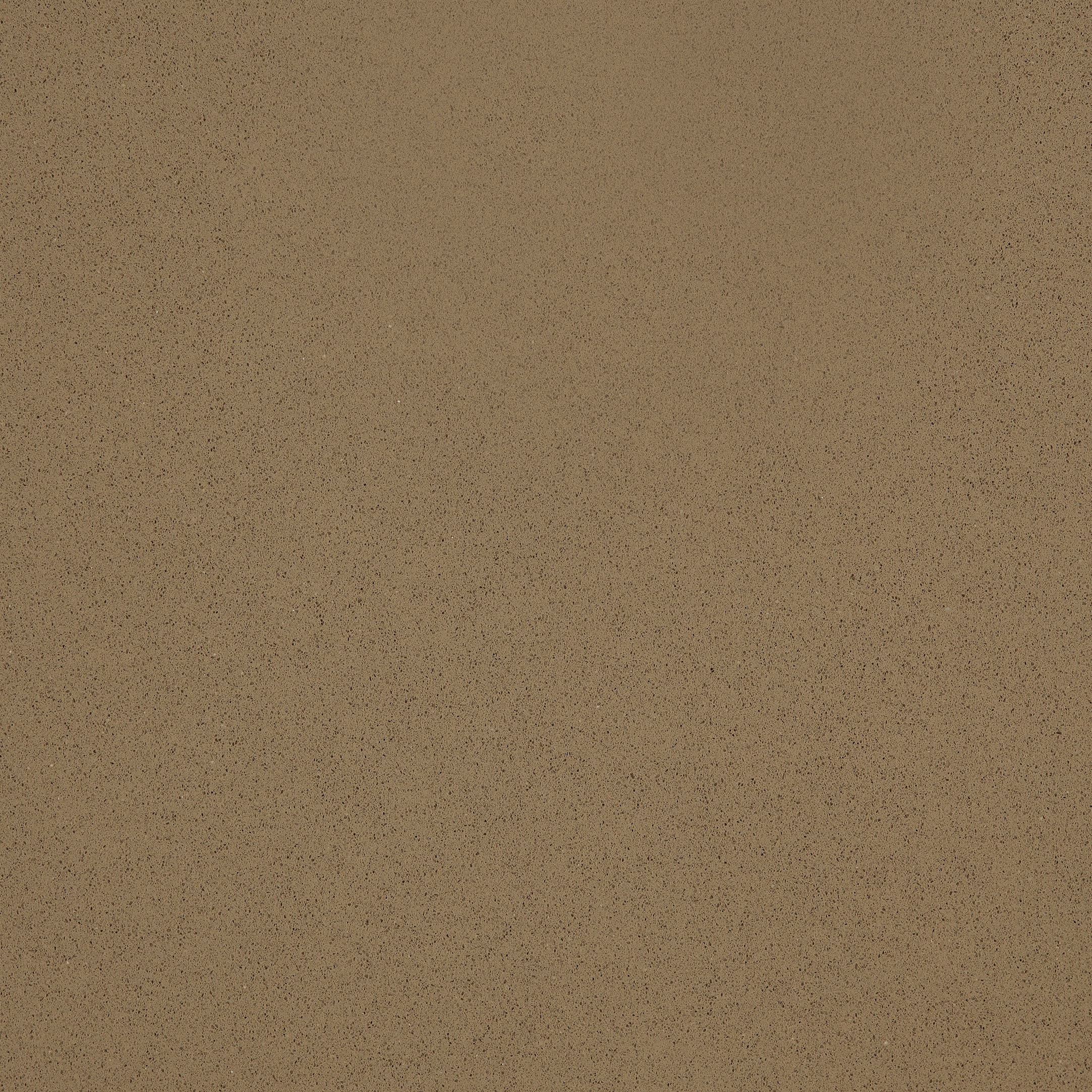 TCE 4013 Pure Cedar