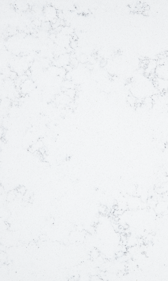 TCE 4024 Carrara Bianca overview