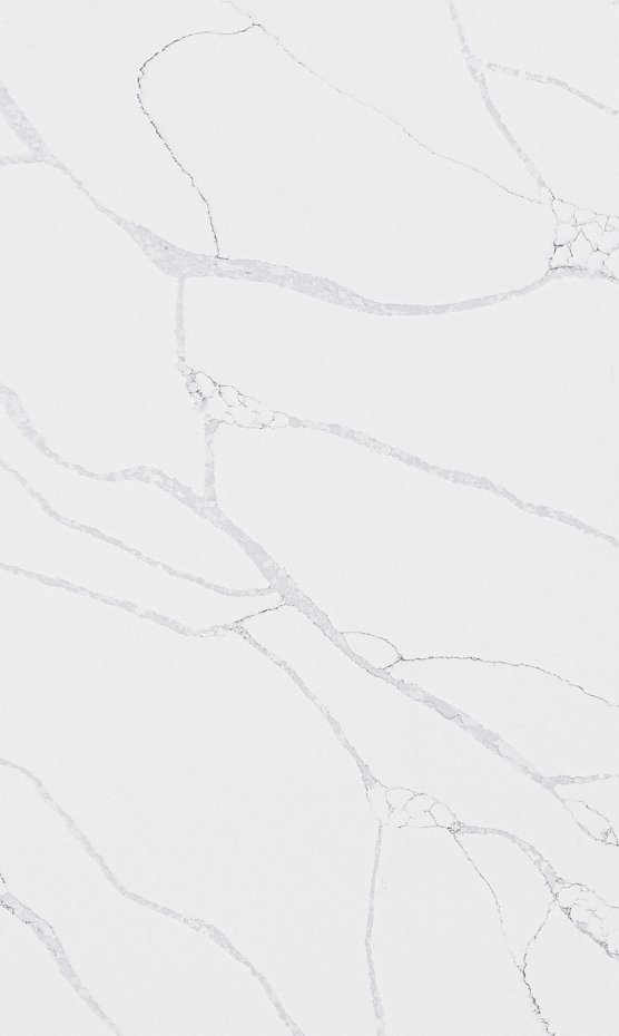 TCE 4029 Calacatta Max overview