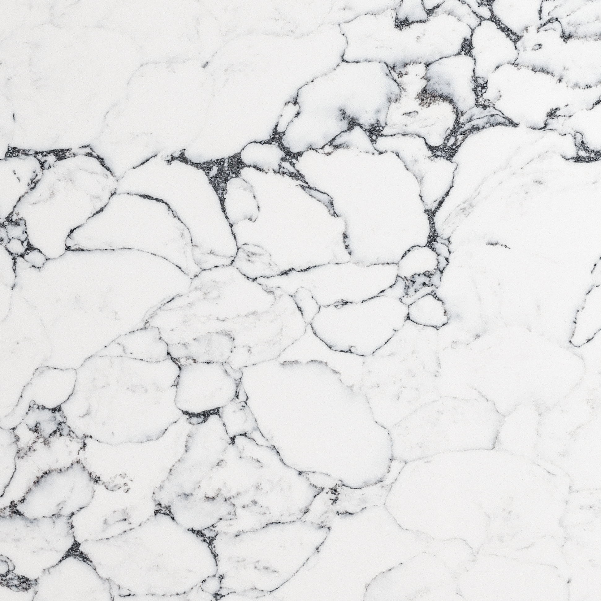 TCE 4038 Charcoal Arabescato