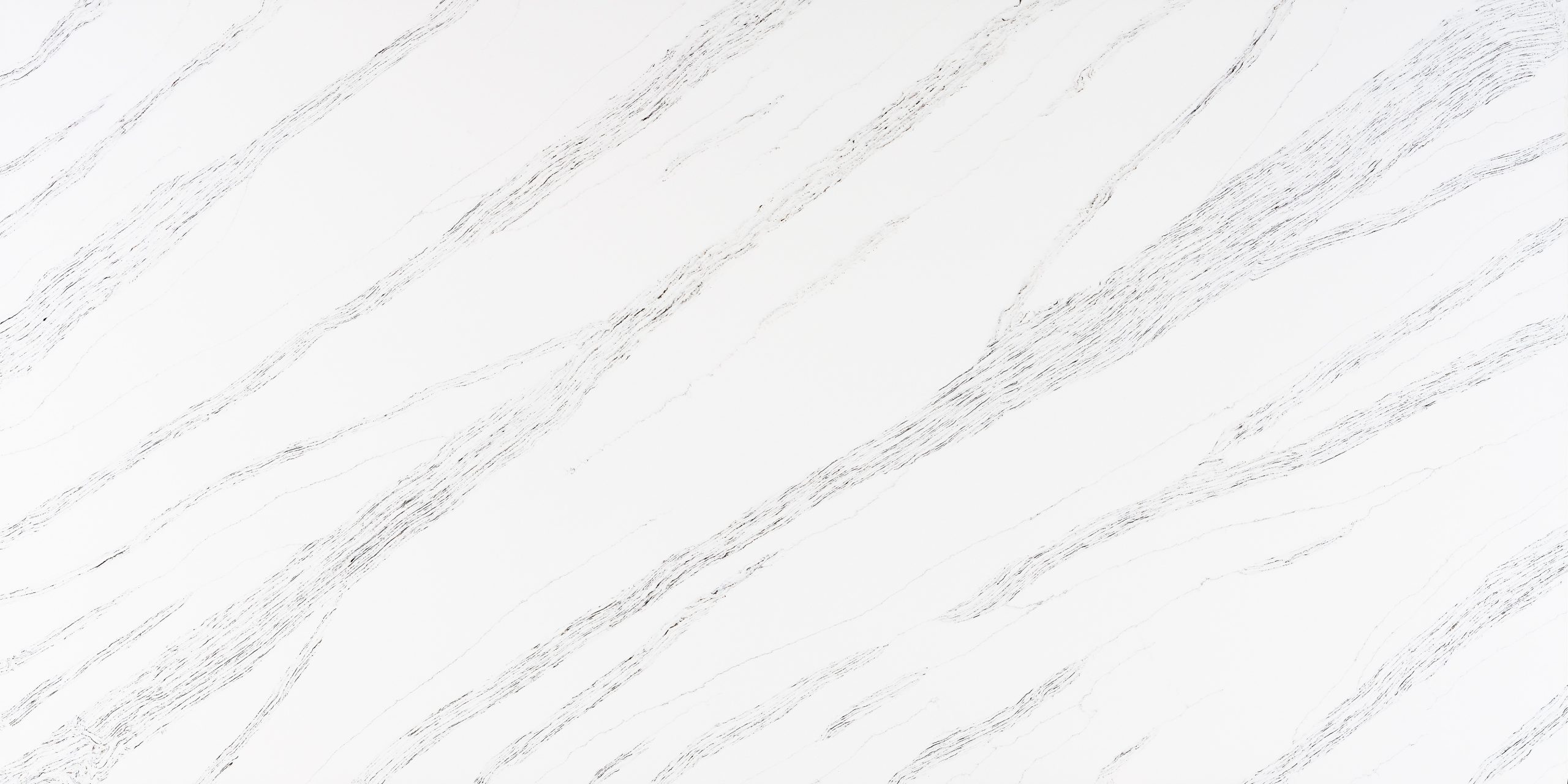 TCE 4049 Silver Coast